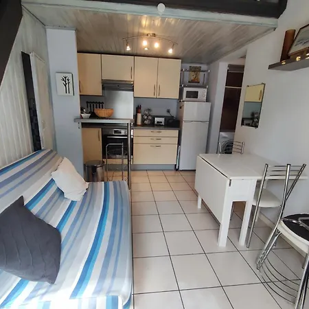 Pavillon Climatise Pres De La Avec Terrasse, Parking Et Confort Moderne - Fr-1-776-7 Villa Argeles-sur-Mer