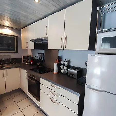Pavillon Climatise Pres De La Avec Terrasse, Parking Et Confort Moderne - Fr-1-776-7 *